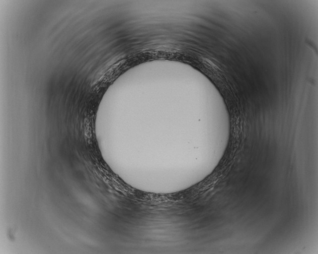 X0000099480774200806061244