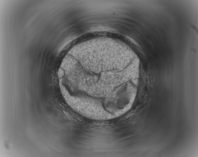 X0000099480775200806061244