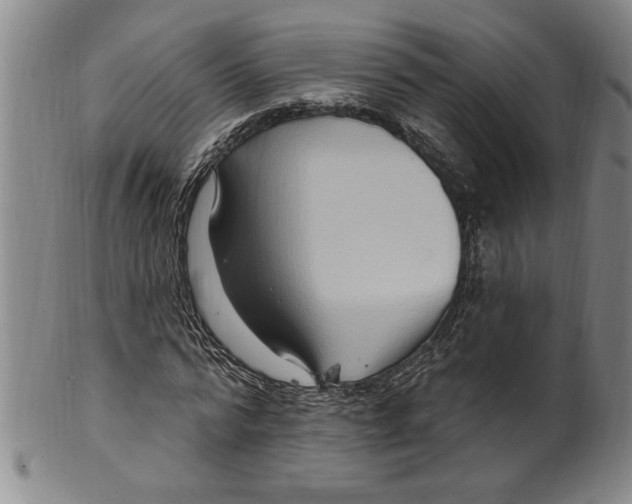 X0000099480776200806061244