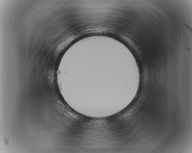 X0000099480778200806061244