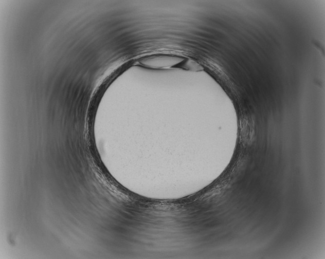 X0000099480780200806061244