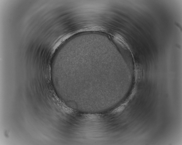X0000099480781200806061244