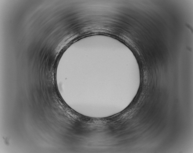 X0000099480782200806061244