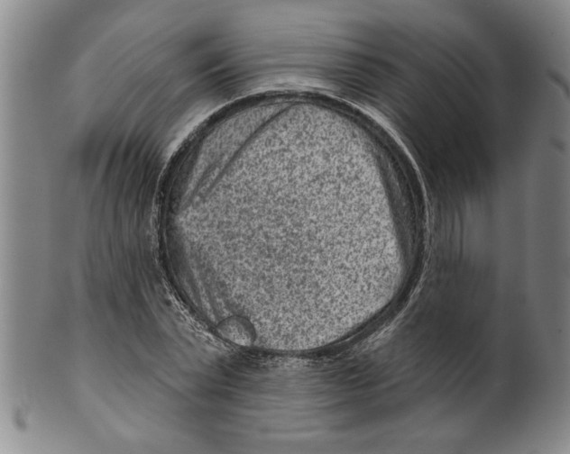 X0000099480783200806061244