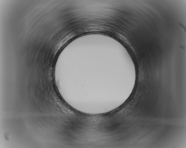 X0000099480786200806061244
