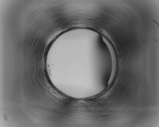 X0000099480787200806061244