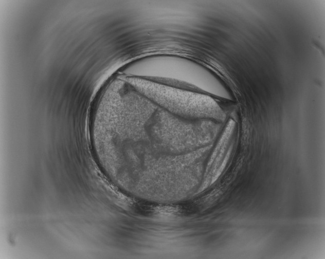 X0000099480788200806061244