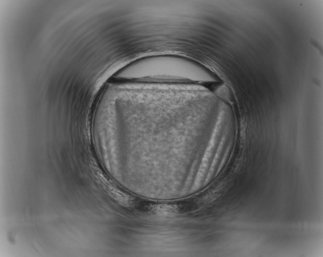 X0000099480789200806061244