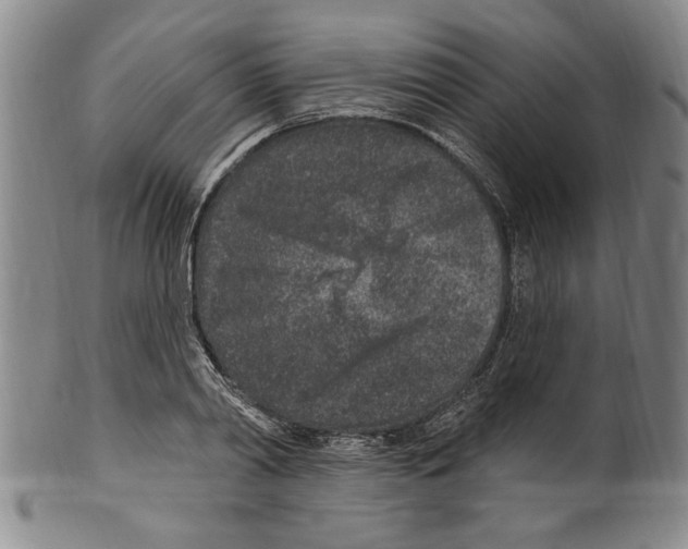 X0000099480790200806061244