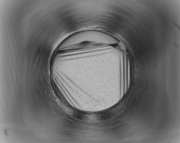 X0000099480792200806061244