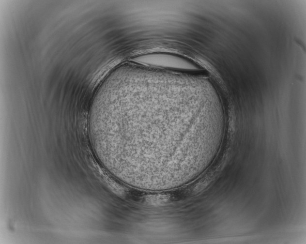 X0000099480793200806061244
