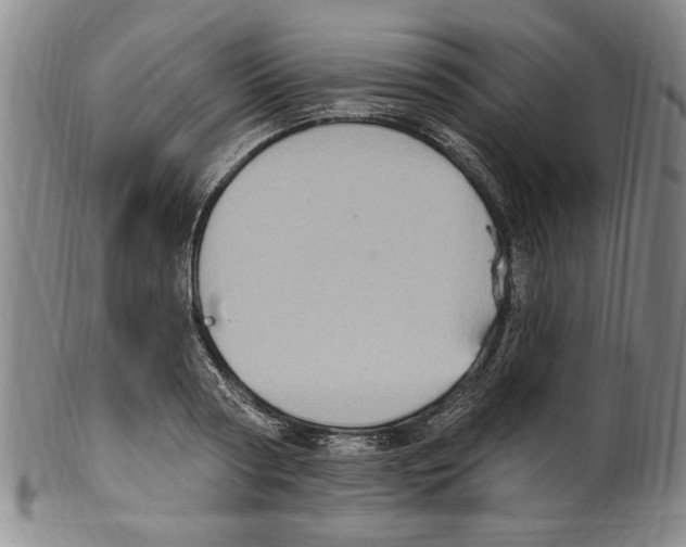 X0000099480794200806061244