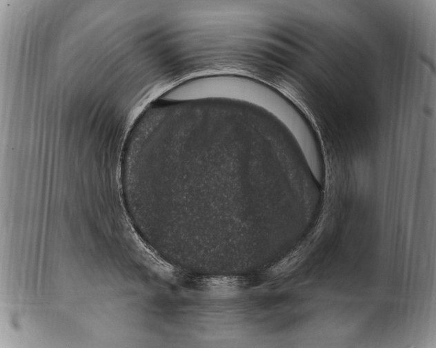 X0000099480797200806061244