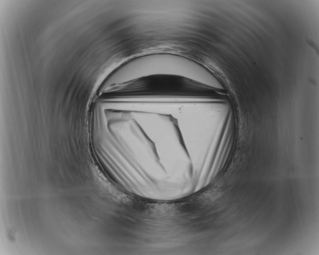 X0000099480800200806061244