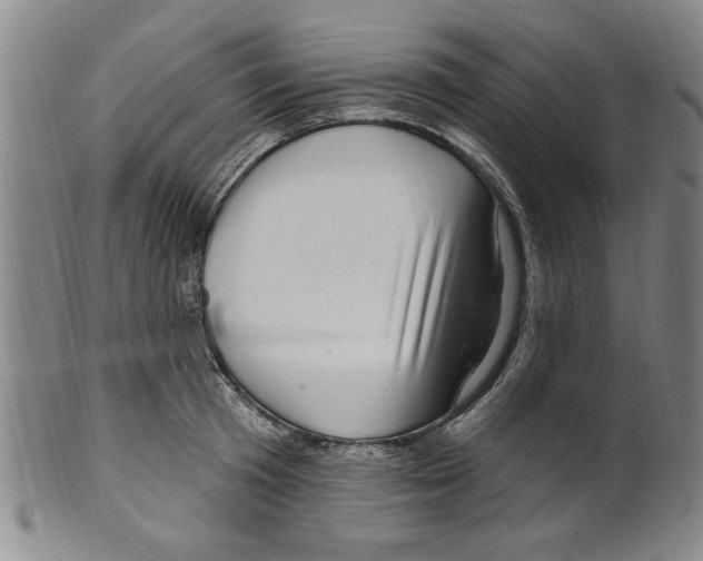 X0000099480801200806061244