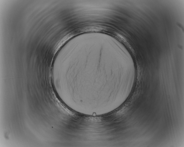 X0000099480802200806061244