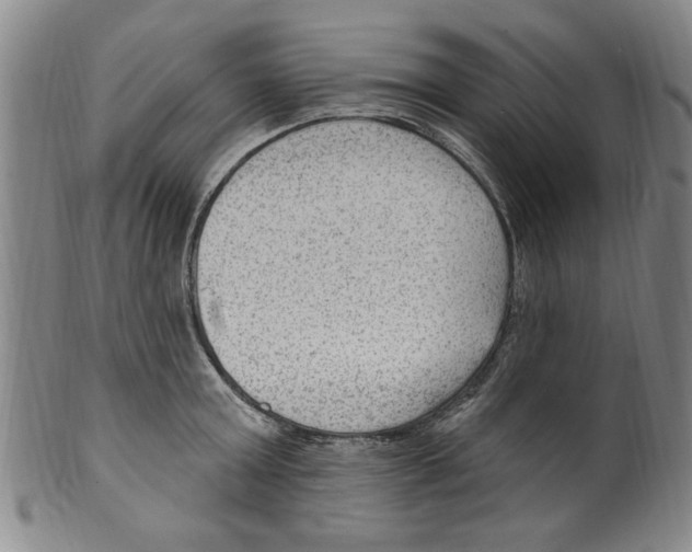X0000099480803200806061244