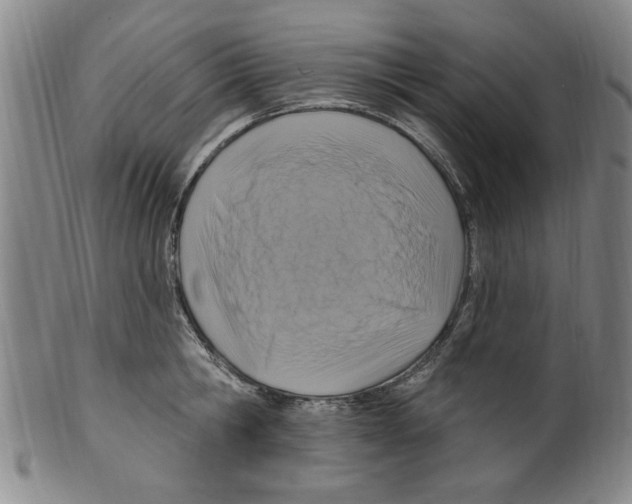 X0000099480806200806061244