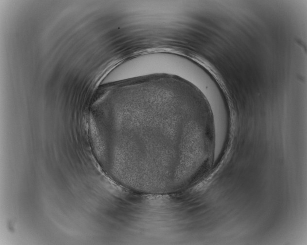 X0000099480809200806061244