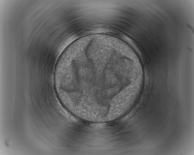X0000099480810200806061244