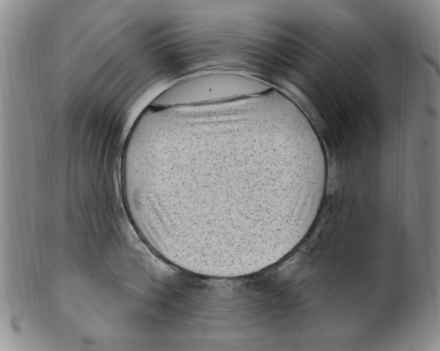 X0000099480812200806061244