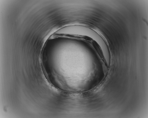 X0000099480813200806061244