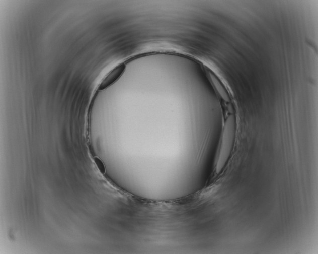 X0000099480815200806061244
