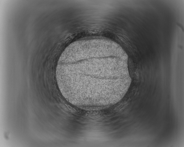 X0000099480817200806061243