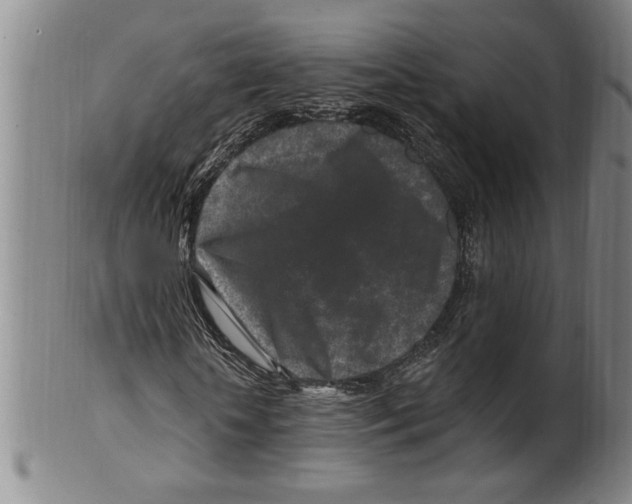 X0000099480818200806061243