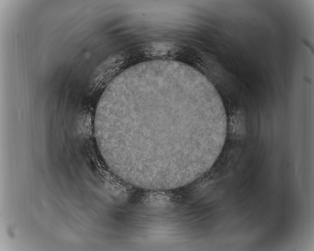 X0000099480820200806061243