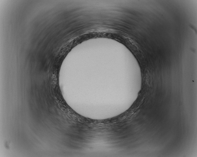 X0000099480821200806061243