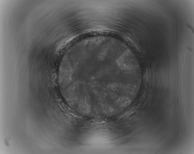 X0000099480822200806061243