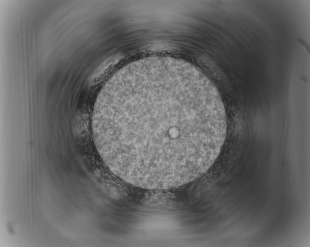 X0000099480824200806061243