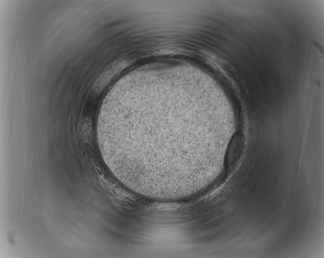 X0000099480825200806061243