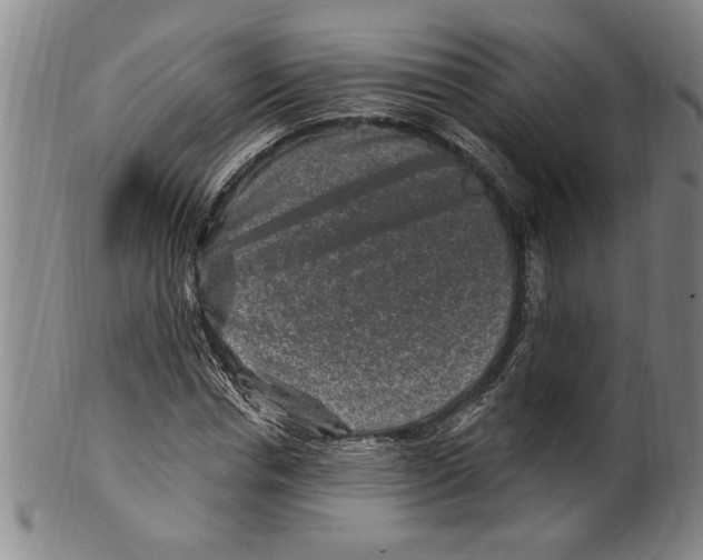 X0000099480826200806061243