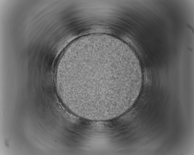 X0000099480828200806061243