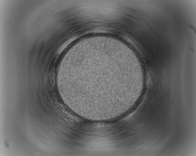 X0000099480829200806061243