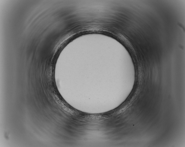 X0000099480831200806061243