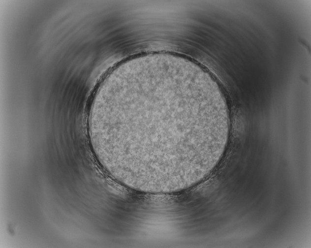 X0000099480832200806061243