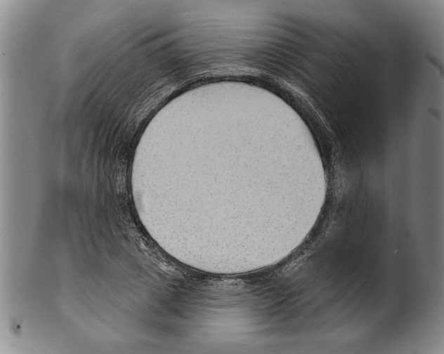 X0000099480833200806061243
