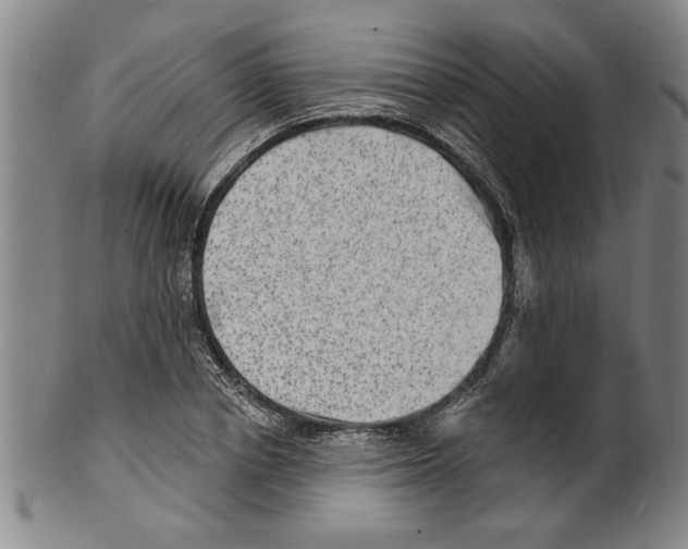 X0000099480834200806061243