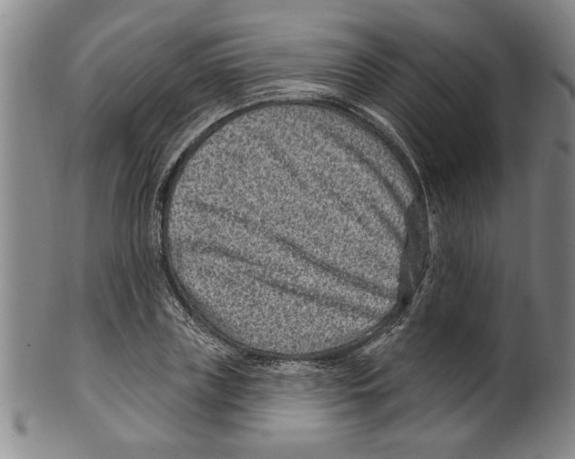 X0000099480835200806061243
