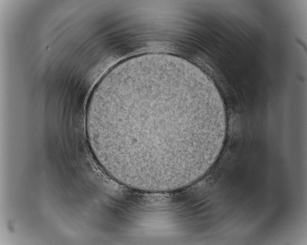 X0000099480836200806061243