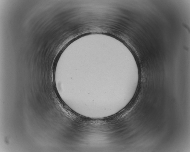 X0000099480837200806061243