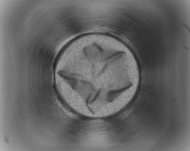 X0000099480838200806061243