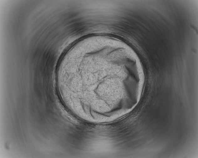 X0000099480840200806061243