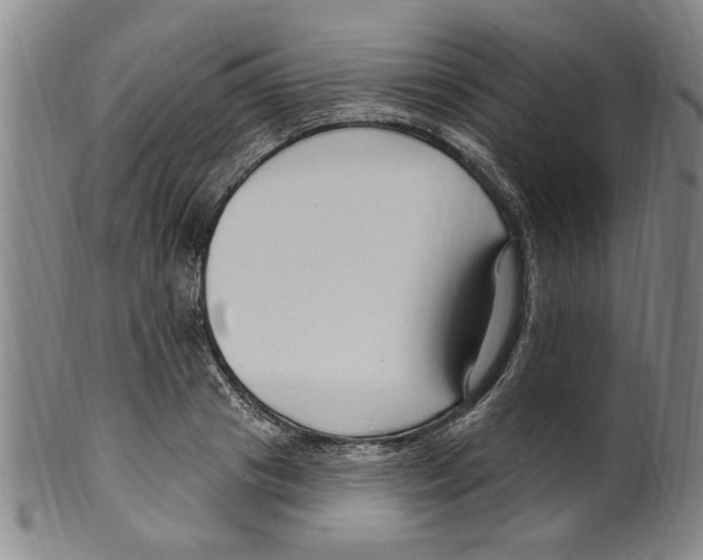 X0000099480841200806061243