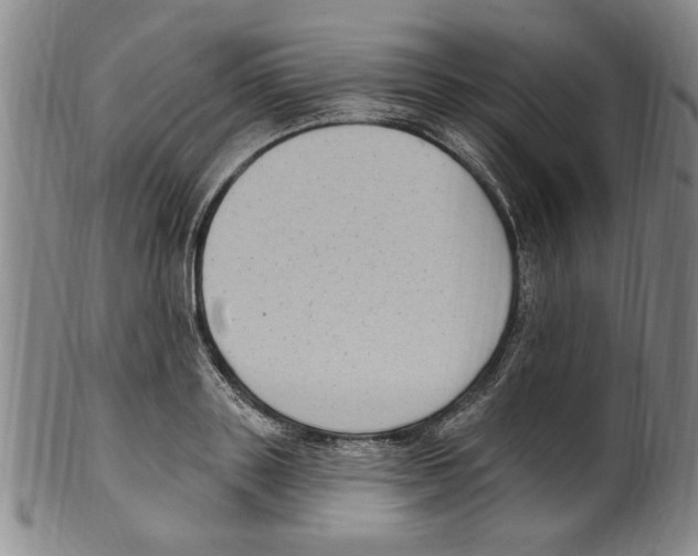 X0000099480843200806061243
