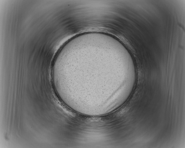 X0000099480846200806061243