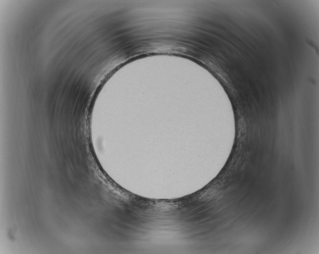 X0000099480848200806061243